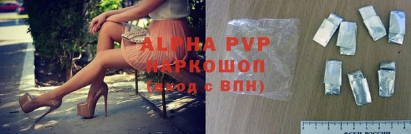 СК Белокуриха
