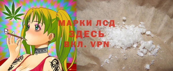 СК Белокуриха