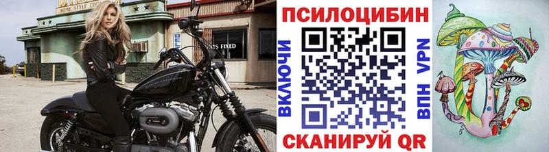 цена наркотик  Волжский  Псилоцибиновые грибы Psilocybe 